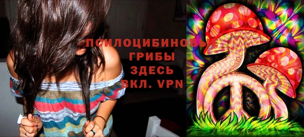 дживик Зерноград