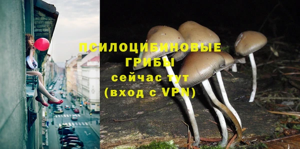 дживик Зерноград