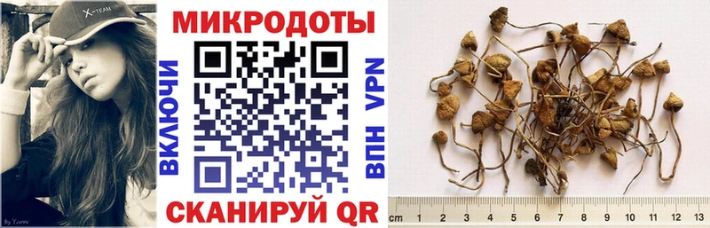 Купить закладки  Кириллов  Псилоцибиновые грибы Psilocybine cubensis 