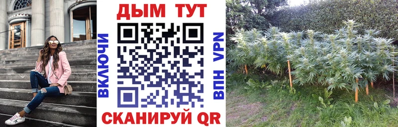 Марихуана индика Кириллов